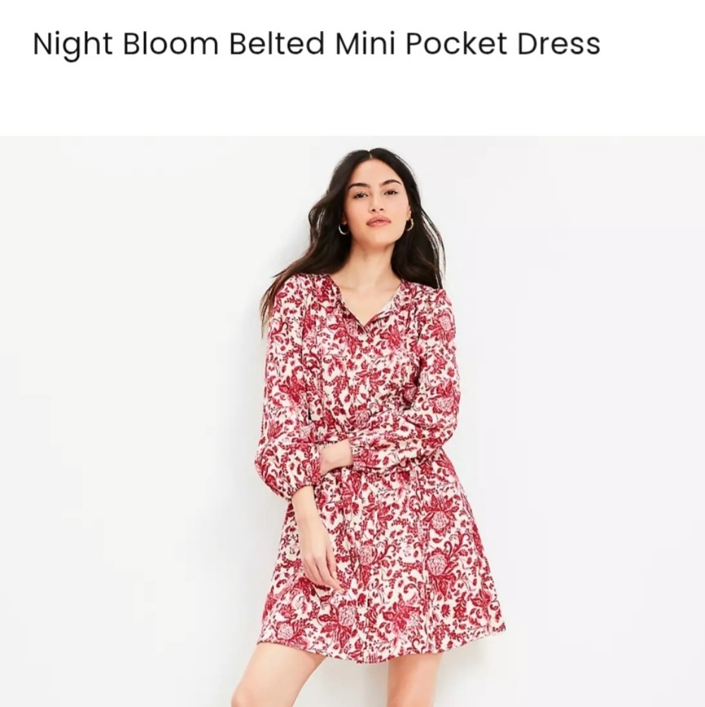 LOFT Red Floral Belted Mini Dress